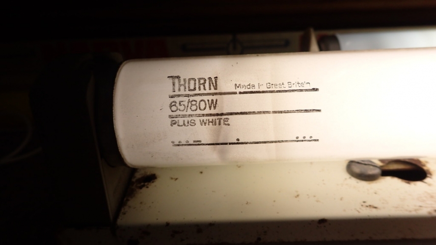 Thorn 5' 65/80W Plus White
Has a broken cathode at one end but contact can be made by rotating the tube and letting gravity do its work. I don't see any advantage of this colour over normal White.
