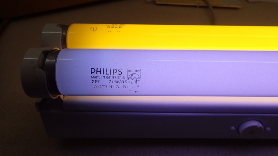 UV-Gold contrast
An interesting comparison between two 20W oldies.
