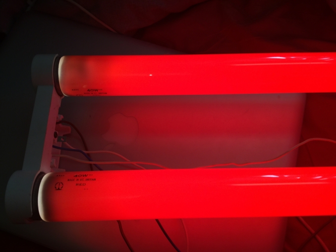2ft 40W Red BLI
I decided to give my 2ft 40W red tubes a run while I had the gear out as it had been a while since there last run :) lovely colour from these (the blackening is just mercury condestation it soon went away)
