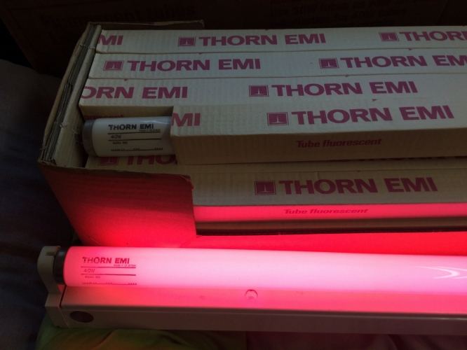 Thorn Radar Red 4ft 40W T12
probably one of my best finds, a whole NOS box of 25 Radar red tubes!

I have wanted a radar tube for a long time, so when these showed up I jumped on them right away, its like buses as they say, you wait a long time and 3 or in this case 25! show up at once...

I plan to take this box of 25 with me to the next gathering for trading for other lamps/tubes if people are interested in them? :) 

