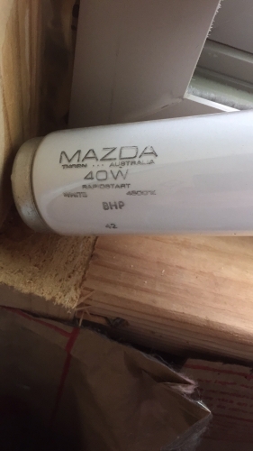 Fluorescent from Austraila 
Here i picked up 5 Mazda 40 watt 
Fluorescent tubes and they are 
Cool whites.  I imported this in
The US from Ebay. This how i got
Those Mazda 40 watts tubes and color 37 
5 footer knocking out two birds in one stone. 

