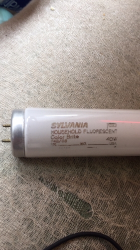 GTE Sylvania F40T12CB  Color Bright
Here a very interesting and a nice tube as well
It basically a early 730  halo/tri phosphor blended
Tube.  I found this in second hand bulding supply 
With hand full of early 80s cool whites; but left cool 
Whites behind. 
