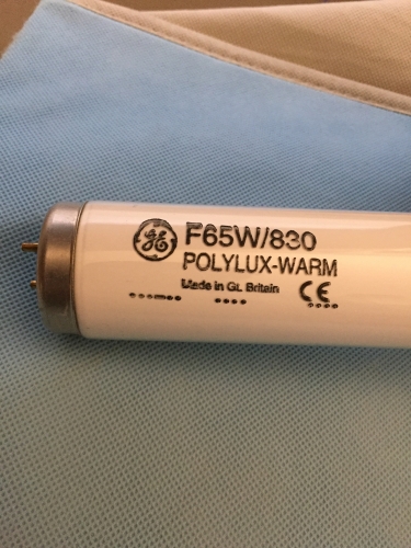 GE F65/830
I found these in a US specialty lighting shops
  Talk about bright 5 footer i ever own, these lamp 
Have no problem passing US energy Regulations 
for T12 lamps. But Sadly 5 foot lamps are rather uncommon. 

  
