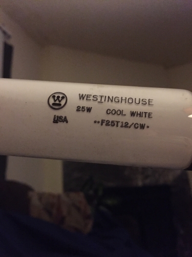 Westinghouse F25T12
Here a odd one! Never seen a right hand etched westy F25 before. 
It came from the curb finds in that box
