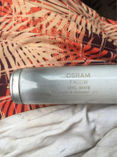 Junking finds 
This is first osram lamp i ever found in the skip
Sadly it eol
