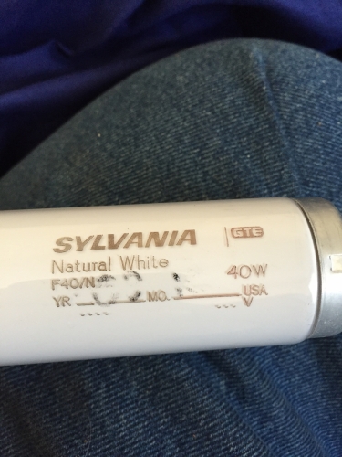 Sylvania F40 Natrual white
This is interesting lamp and interesting color,  the lamp look like a soft 3700 K colour temp, i Wish i had a Deluxe natural to compare this to. 
