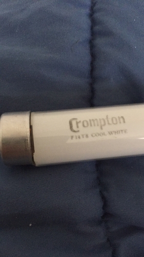 Crompton F14T8
Here somthing interesting. My First Crompton branded F14T8 in States. It caought me off gaurd as we never had this brand here. And a rare uncommon 
Size tube. Also these tube look like crap as one of lamp end cap is off centered 
Like a Chinese made tube. 

