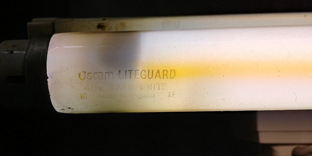 Osram-GEC LITEGUARD 4ft 40w Warm White

"Bandy McBandface!"

Acquired a quadruplet of these in what appear to be their original sleeves but, as you can see here, they are obviously used?

Unshielded, manufactured by Endura at Shipley (H1) in June 1978 (KF).
