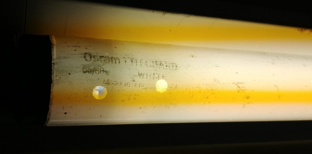 Osram Liteguard 65w White, Phosphor's Falling Off!

One of the tubes I acquired from [url=http://80.229.24.59:9232/gallery/displayimage.php?pid=7424][u]this haul[/u][/url] that actually works (they were mostly EOL through being hammered and/or damaged), although it does have a broken cathode. It works now I've shorted it out and it's nice & bright, however the phosphor is falling off in places as seen in the picture. Quite a few of the tubes were like this, I can only think its as they've been left unused in a cold & damp environment for so long?

