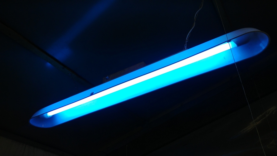 Utilair 5ft Bayonet Cap Fixture Lit

Fitted with a blue coloured tube of some description, using BC to bi-pin adaptors. This was one of many tubes fitted to this over the weekend.
