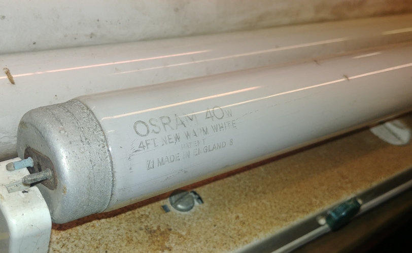 Deep cap 4ft 40w Osram New Warm White [11/1955]

Working well & looks like it should put in many more hours. Probably manufactured November 1955!
