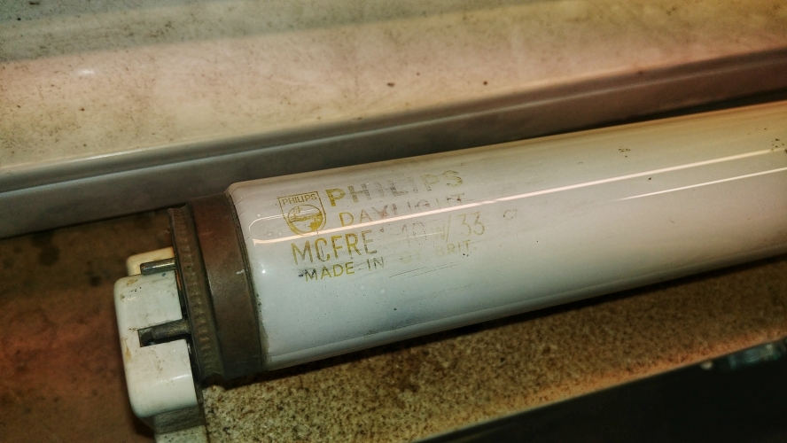 Philips MCFRE 4ft 40w/33 Daylight Reflector Brass Cap

Working, manufactured March 1967 
