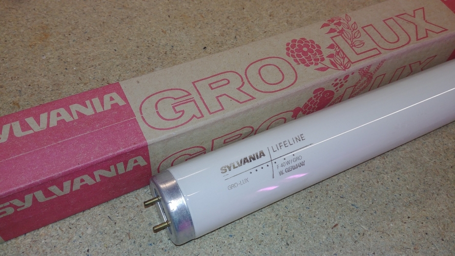 Sylvania Lifeline 40w Gro-Lux

West German made. I really like the fancy artwork on the sleeves.
