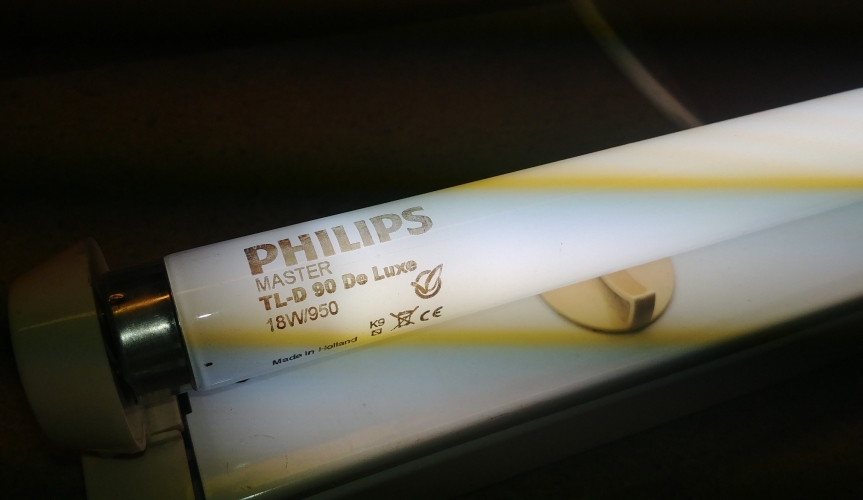 Philips Master TL-D 90 De Luxe 18w/950

BNOS Philips TL-D 90 2' 18w/950 fluorescent tube. This is a lovely colour with a high cri of 92. Full specs below:

CRI: 92
Colour temperature: 5300k
Lumens: 1150
Life to 10% failure: 12,000h
Life to 50% failure: 20,000h

