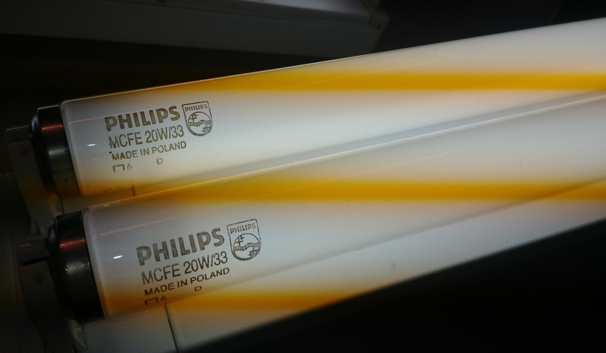Philips MCFE 20w/33

BNOS, no sleeves. Top quality tubes in a pleasant neutral cool white colour (640). I've got a few of these listed for sale at the meet if anyone's interested.

Date code 6D = April 1996.
