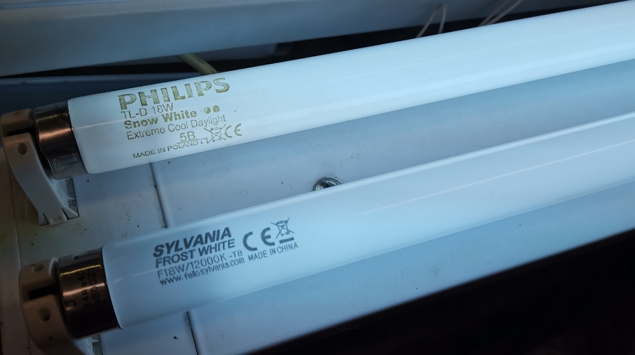 2ft 18w Philips Snow White & Sylvania Frost White - 12,000k

Didn't know I had the Philips 'Snow White' (lol), found it randomly within a (opened) box of the Sylvania's.

As you may be able to see the colours of these two tubes are slightly different. I also have some Maxin branded 12,000k tubes & they're slightly different again. I guess 12,000k isn't too popular so the phosphor was never â€˜standardisedâ€™ between manufacturers?
