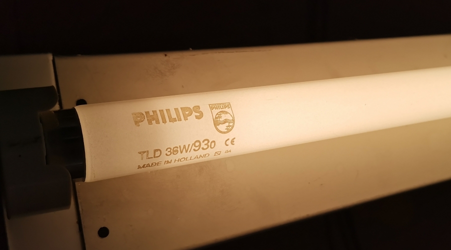Philips 4ft 36w/930
High CRI warm white toob. Very nice!
