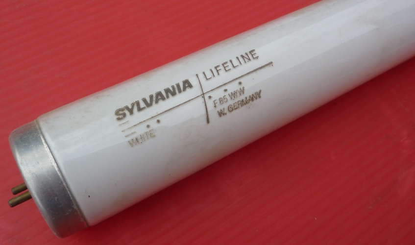 Sylvania Lifeline F85w/w White 3500k 8ft Tube
West German 3500k Halophosphate white 8ft tube, brand new old stock

Also I'm interested to hear feedback on the red background for pictures of tubes. I think the white background didn't contrast at all and looked a bit crap. Thoughts?
