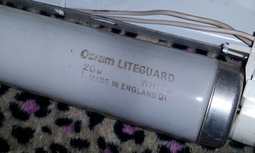 Osram Liteguard 20w White
Date code QH, August 1983 (from the Osram GEC date sheet) if correct?

Got two of these, would you believe that on both the end caps have come off, I bet you've never seen that before lol! One tube just needs them gluing back on, the other also has broken pins, I'm going to attempt an end cap transplant on that one.
