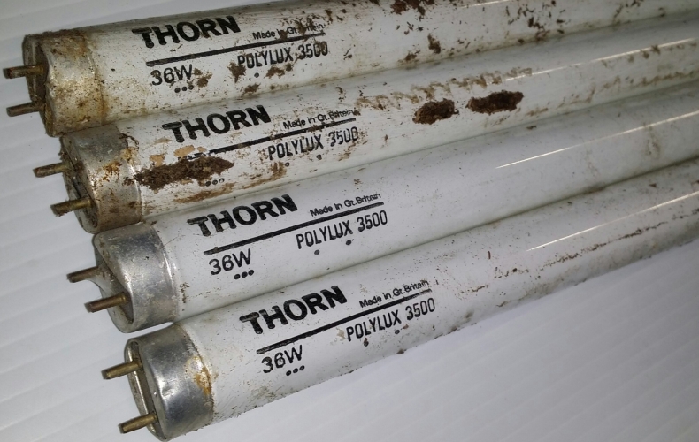 THORN 36W Polylux 3500
Got a few of these the other day from the York haul. They were sat on the floor in a puddle under a pile of other stuff, and had been there for so long that the sleevesâ€‹ had mostly turned to soil, and one of the tubes had a slug living on it lol! All working fine though
