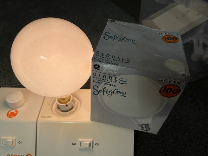 General Electric Pure White G125
240 Volts, 890 Lumens.
