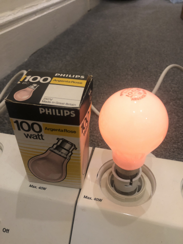 Philips Argenta Rose
Before the Softone range came out.
