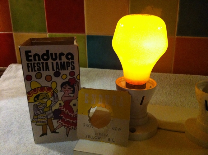 Endura Fiesta Lamp
240 volts
