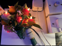 16_Set_Flower_Lights___EOL_Pygmy_Lamp.JPG
