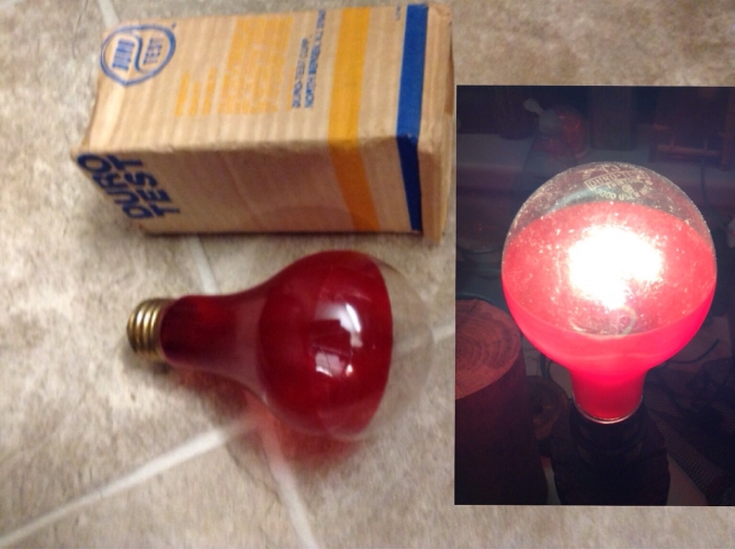 Duro-Test 75w Transparent Red Neck And Clear Top
Half red and half clear DT A21 bulb from eBay 
