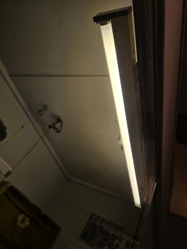 Thorn Arrowslim at Carisbrooke Castle 
In use for a display cabinet at Carisbrooke Castle, Isle of Wight 

April 2026
