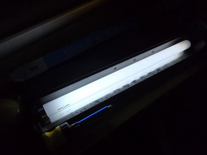 15W T8 reptile daylight UVB tube
I lit it up for like less than 10 seconds 
