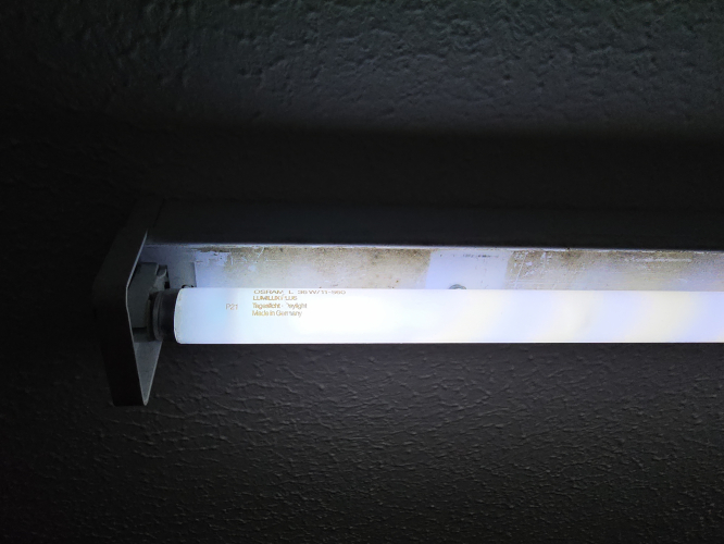 OSRAM Lumilux 36W Daylight 860 tube in my bedroom fluorescent fixture 
So as it is summertime I thought to go Daylight 860 in my bedroom fixture 

Tube is German made OSRAM Lumilux 36W 860 Daylight 
