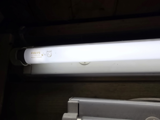 Philips 30W T8 Colour 25 tube lit up
Here it is lit up and I must say it reminded me very much of the Graphica Pro 959 tube
