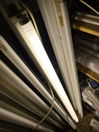 Atlas 40W Warm White 4ft T12 tube lit up 
In my Crompton Crompack fixture 

It is more washed out compared to the EKCO 65/80W Warm White tube 
