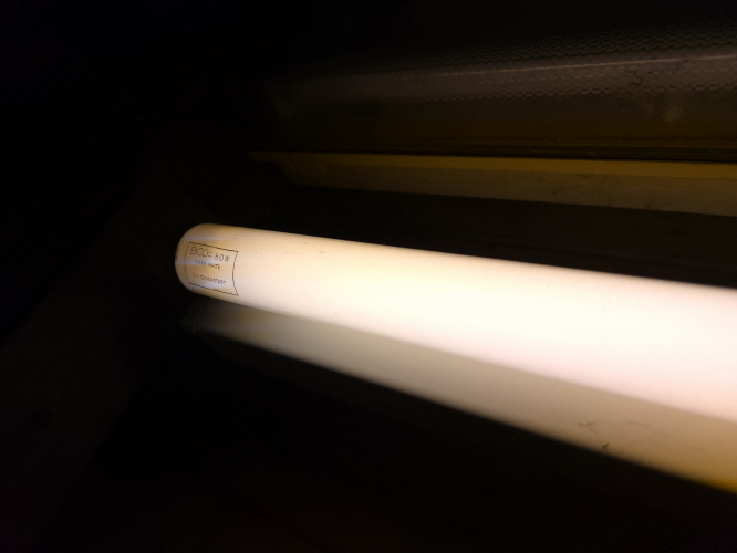 EKCO 65/80W 5ft Warm White T12 tube lit 
Here it is in my Tamlite TL 58 fixture 

Has a satisfactory apricot tint to it 
