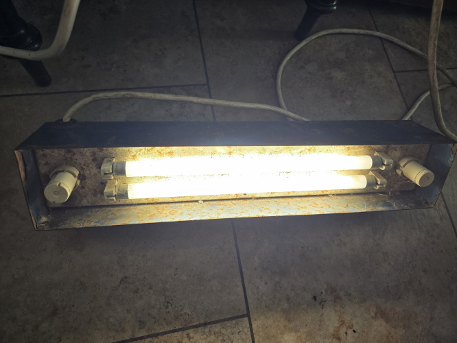 Spectralight 2x 8W fluorescent fixture turned on
Here it is in action 
