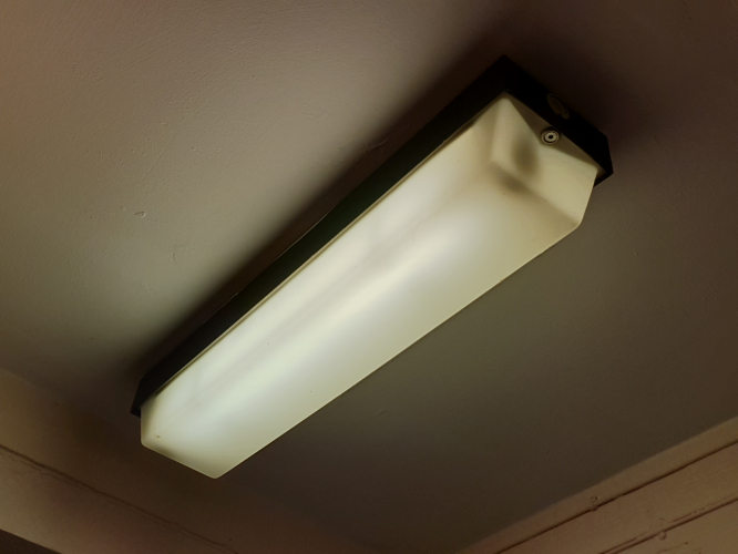 2ft 20W fluorescent fixture that has 1x main tube and a backup 8W T5 tube 
Spotted back in the Uni of Reading Whiteknights campus area when I was on a temp job back in 2018 

How do I know it has what I described? Well I spotted another that happened to be missing its cover 
