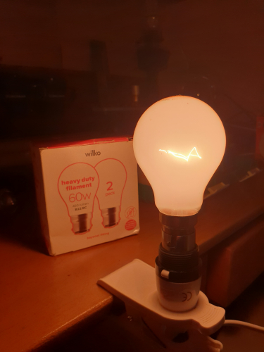 Wilko 60W pearl/milky incandescent bulbs 
From car boot sale last year. I actually got 3 in total, the third one was from a light fixture 
