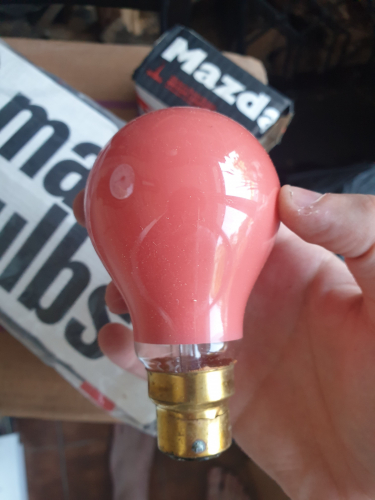 Mazda 25W red coloured GLS incandescent 
Here is the unlit pic of the Mazda 25W red coloured GLS incandescent 

I wonder if cadmium is present in this pack of 10?
