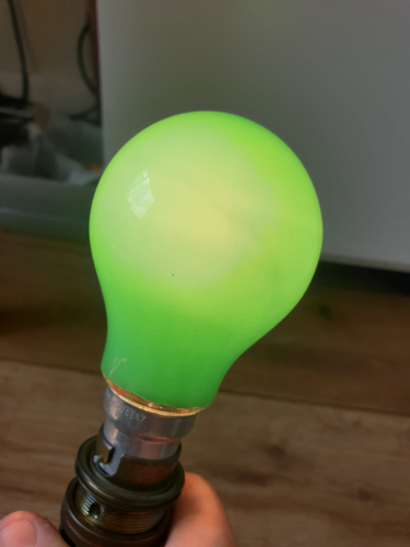 Crompton 60W green coloured bulb
Got 2x from yesterday car boot sale 

I always prefer coloured incandescent bulbs that are 40W+ 
