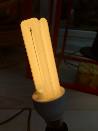 Tesco 20W CFL lit up 
Every time I light up a Tesco CFL or the actual GE branded version of these, they seem to exhibit this spot on the ends 
