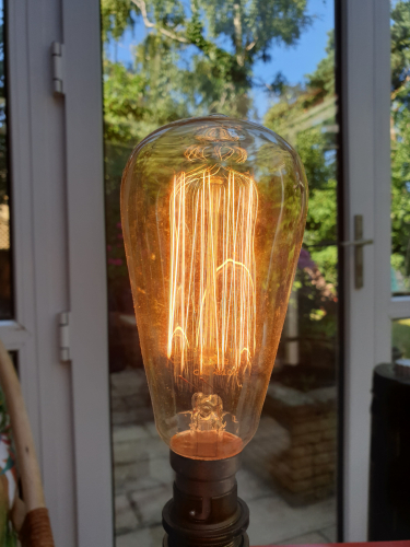 Crompton 60W ST64 squirrel cage incandescent bulb 
As part of the "Antique" range of repro edison style bulbs 

Tungsten filament it is but it beats LED hands on 
