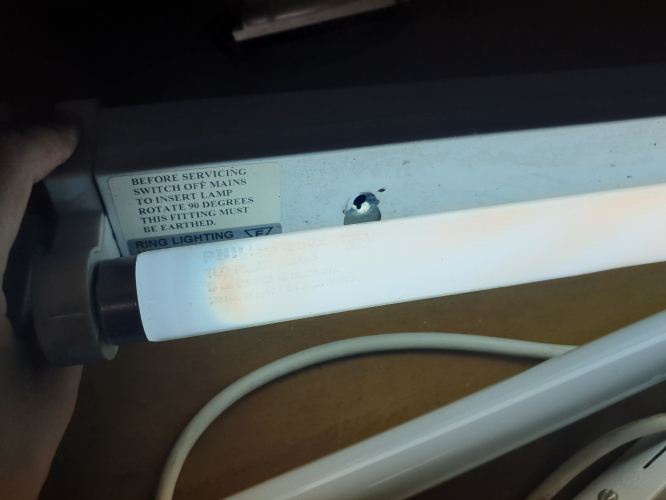 Philips Lifemax 16W 2ft T8 tube 
Daylight colour 64 it is 

Got it and its twin from that portable fluorescent fixture with a faulty battery 
