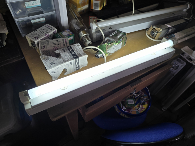 Fitzgerald LPF18 2ft fluorescent fixture with halophosphor Daylight tube
With the Philips Life max colour 55 tube 
