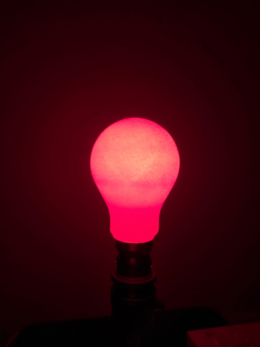 Atlas red coloured 25W GLS bulb lit up 
It's not magenta coloured in real life lol 
