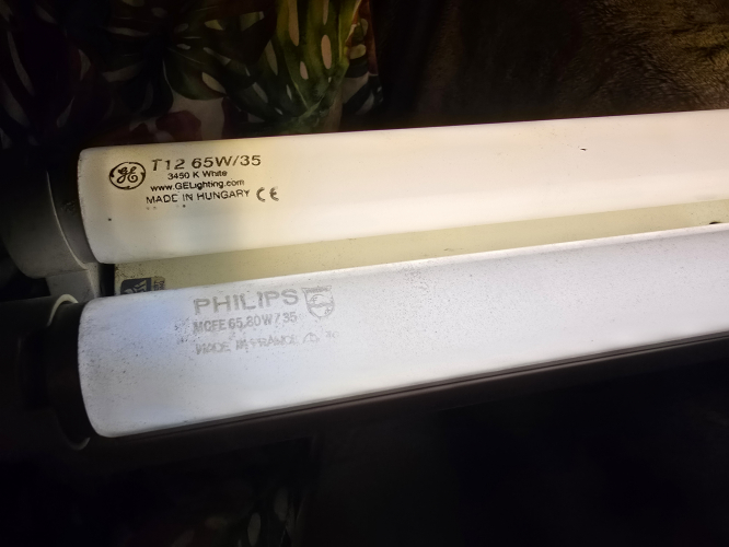 Crompton Sovereign 5ft twin version tubes closeup 
Top is GE and the bottom is the Philips
