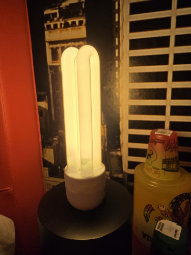 CED 15W CFL lit up
Here it is lit up 
