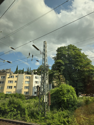 Fluorescent fixture on train overhead wiring mast
Spotted whilst on my way to Wernigerode 
