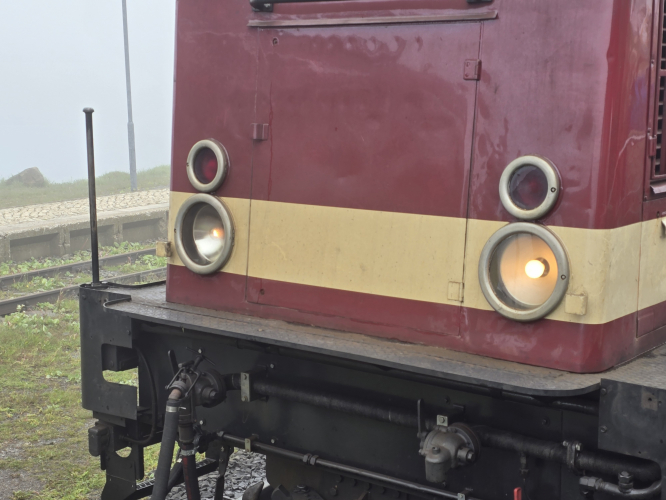 Incandescent headlights on narrow gauge diesel locomotive 
Harz Mountains HSB railway line 

Diesel locomotive 199 847-9

Left headlight has a clear GLS and the right has an opal GLS. Definitely will be the low voltage type 
