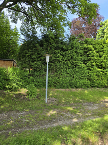Fluorescent posttop streetlight/pathlight
These are fluorescent by seeing their large coffee cup shape design 

Seen whilst on the HSB steam railway line from Wernigerode to Nordhaussen Nord
